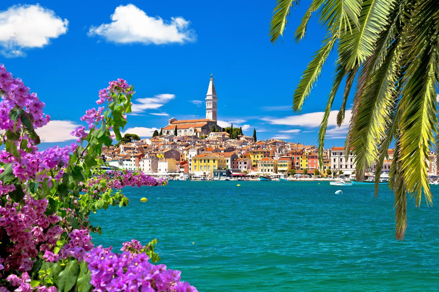 Événements de danse à Rovinj